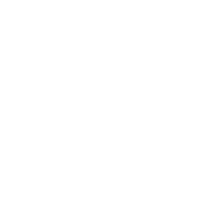 github logo